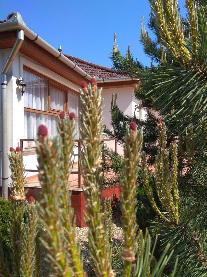 Guest house Nadas Panzio